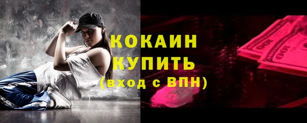 крисы Кодинск